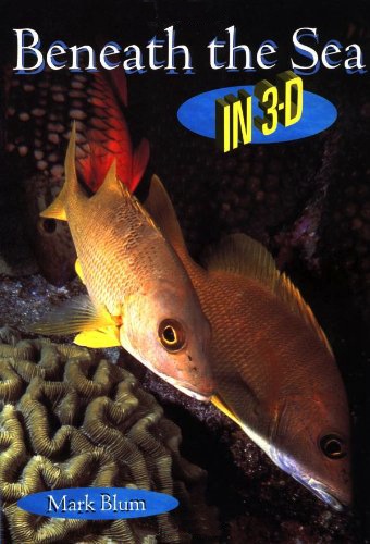 Beneath the sea in 3 D