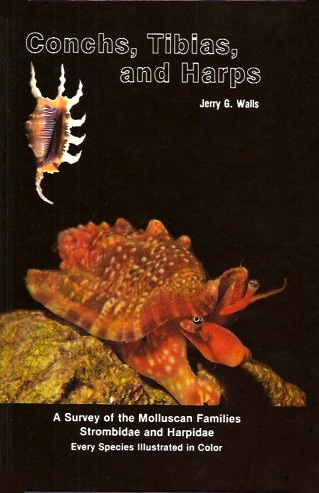 Conchs, tibias and harps