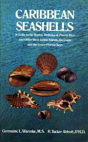 Caribbean seashells