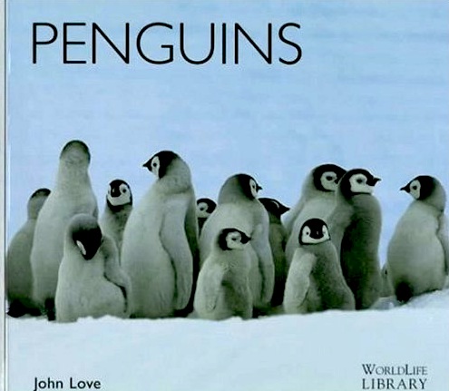 Penguins