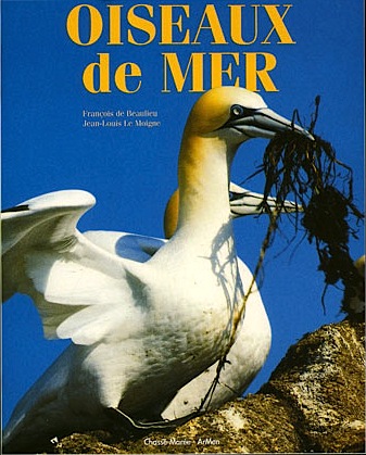 Oiseaux de mer