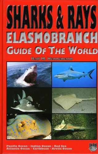 Sharks & rays elasmobranch guide of the world
