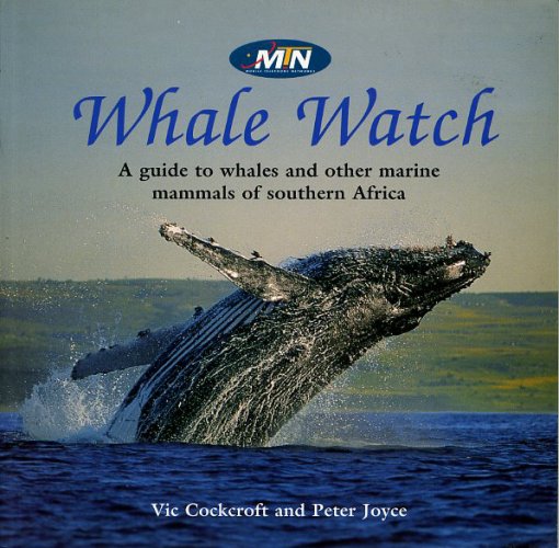 Whale watch