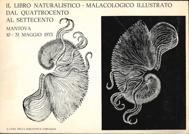 Libro naturalistico malacologico illustrato dal '400 al '700