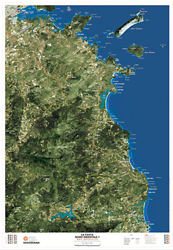 Sardegna costa Nord Orientale - carta dal satellite