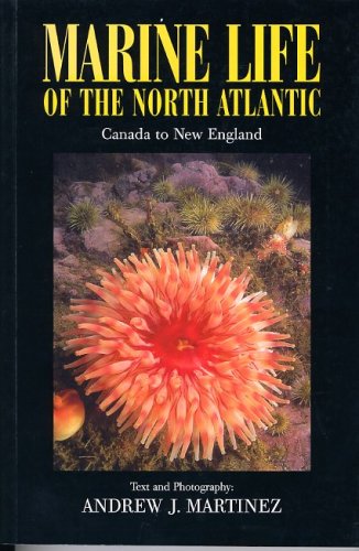 Marine life of the North Atlantic