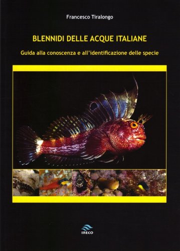 Blennidi delle acque italiane