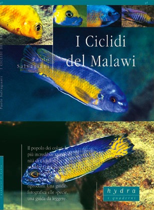 Ciclidi del Malawi