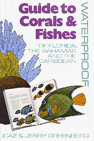 Guide to corals & fishes Florida, Bahamas & Caribbean