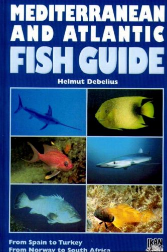 Mediterranean and Atlantic fish guide