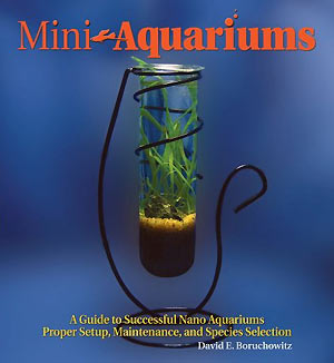 Mini aquariums
