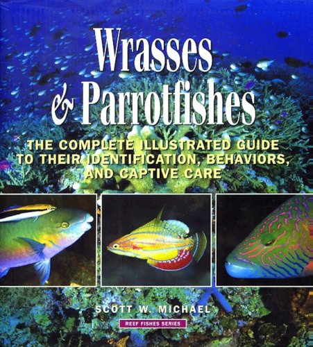 Wrasses & Parrotfishes