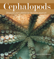 Cephalopods