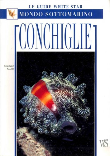 Conchiglie