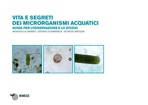Vita e segreti dei microrganismi acquatici