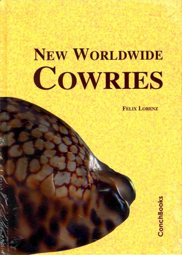 New worldwide cowries