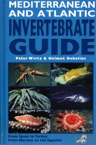 Mediterranean and Atlantic invertebrate guide