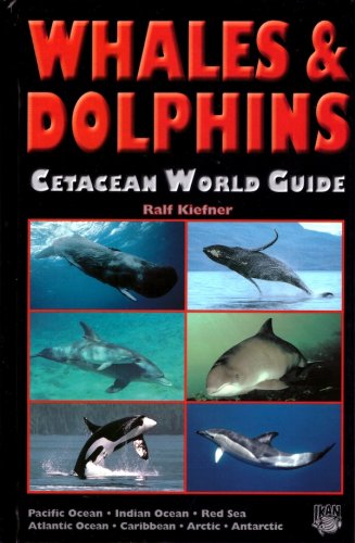 Whales & dolphins cetacean world guide