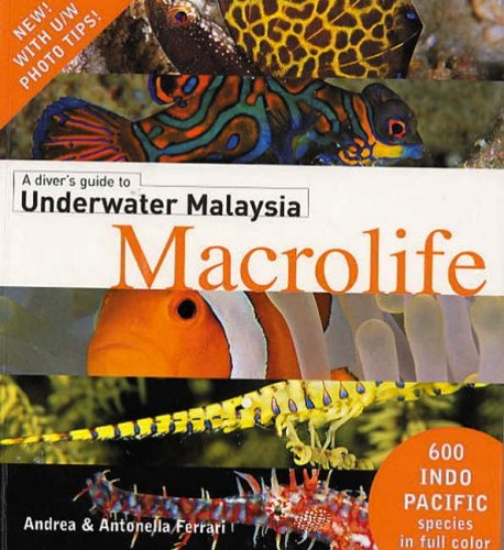 Diver's guide to underwater Malaysia macrolife