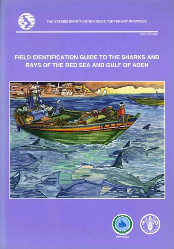Field identification guide to the sharks & rays of the Red Sea & Gulf of Aden