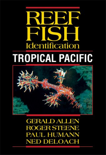 Reef fish identification tropical Pacific