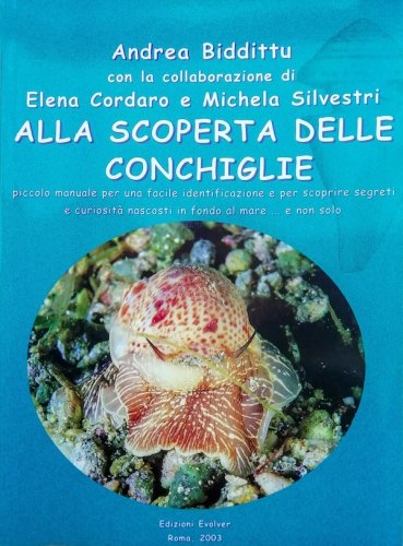 Alla scoperta delle conchiglie