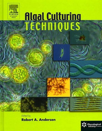 Algal culturing techniques