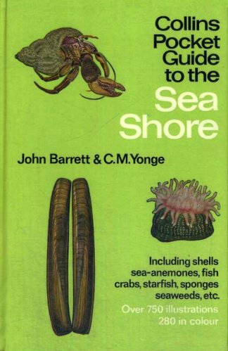 Collins pocket guide to the seashore