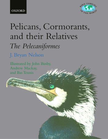Pelicans, cormorants, and their relatives