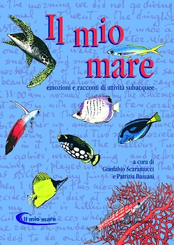 Mio mare