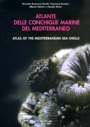 Atlante delle conchiglie marine del Mediterraneo vol.4 pt.3