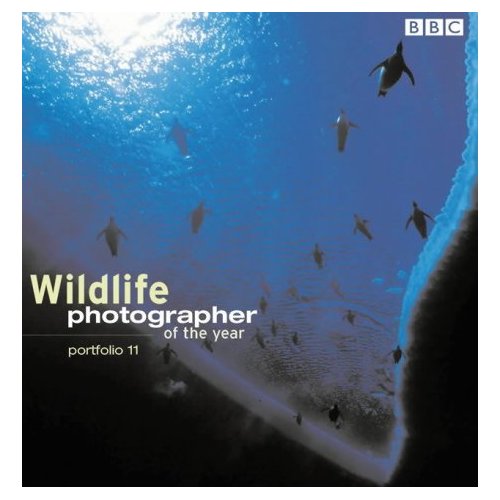 Wildlife photographer of the year - portfolio 11