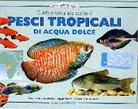 Guida pratica alla scelta di pesci tropicali di acqua dolce