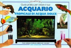 Guida pratica per creare il tuo acquario tropicale di acqua dolce