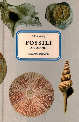 Fossili a colori