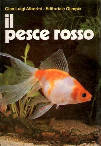 Pesce rosso