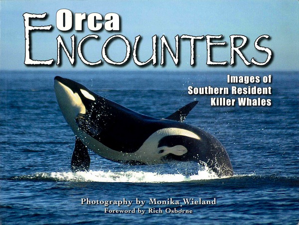 Orca encounters