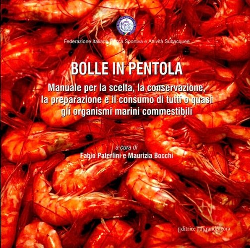 Bolle in pentola