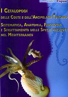 Cefalopodi delle coste e dell'arcipelago toscano
