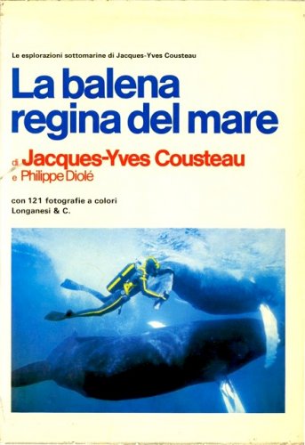 Balena regina del mare