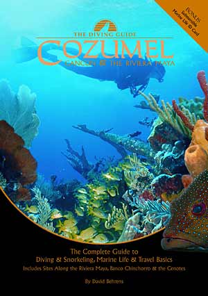 Diving guide Cozumel Cancun & the Riviera Maya