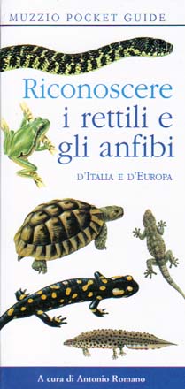 Riconoscere i rettili e gli anfibi d'Italia e d'Europa
