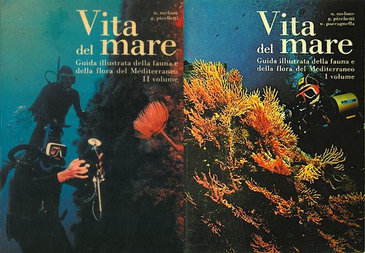 Vita del mare