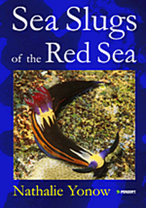 Sea slugs of the Red Sea