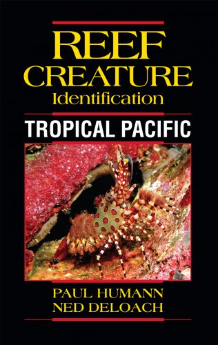 Reef creature identification - tropical Pacific