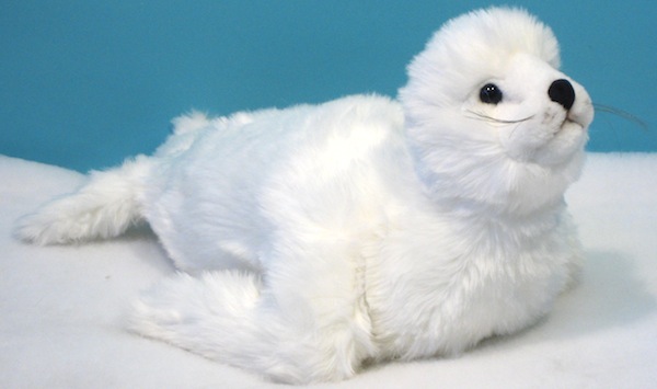Foca bianca piccola