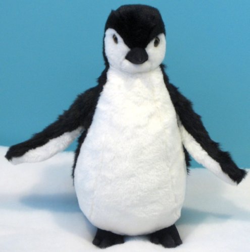 Pinguino bianco e nero piccolo