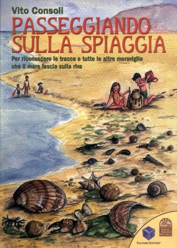 Passeggiando sulla spiaggia