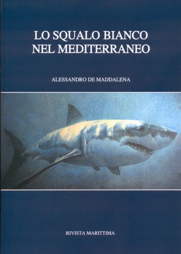 Squalo bianco del Mediterraneo