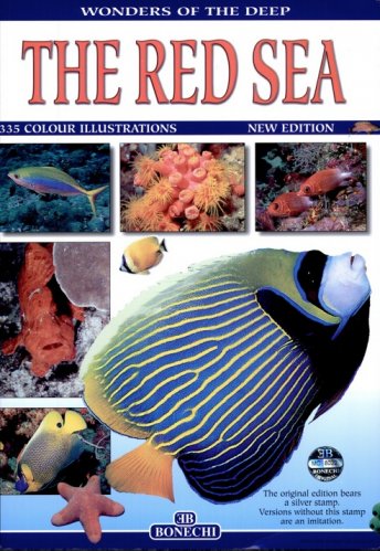 Red Sea snorkeling